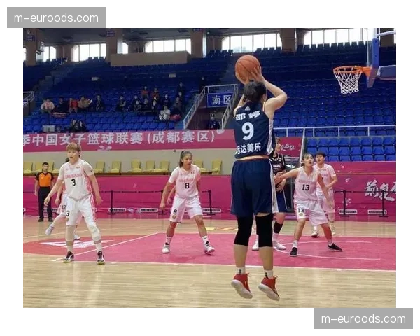 四川肖桐高颂轮番得分 第三节中段完成比分反超